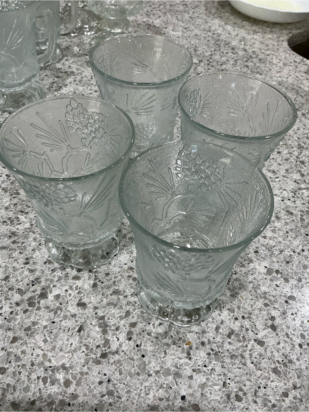 Indiana Glass Embossed Floral Clear Glass Tumblers - Set of 4